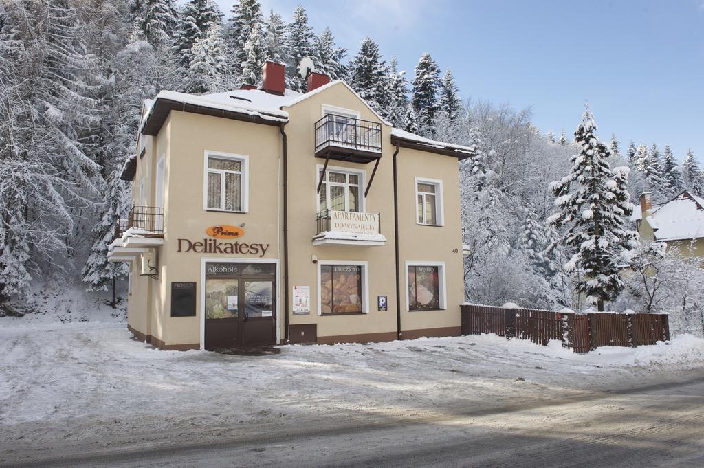 Parkowa Apartament Krynica-Zdrój